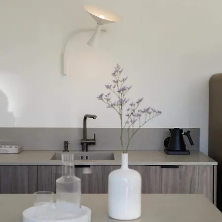 Gorski Zakopane Dağ evi